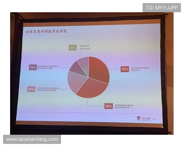 英超球队资金来源多样化分析
