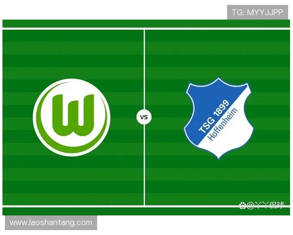 霍芬海姆足球俱乐部历史起源与德甲崛起之路探析