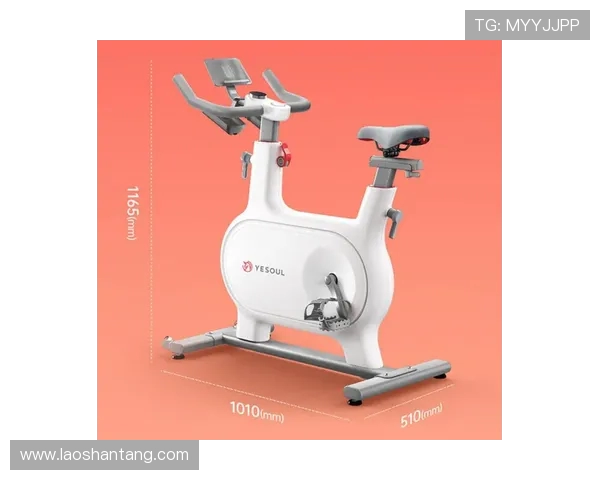 高效燃脂器械核心计划：双重效果融合