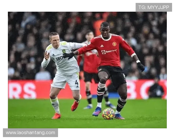 玫瑰英超球队：玫瑰球队——英超的“玫瑰之城”诺里奇